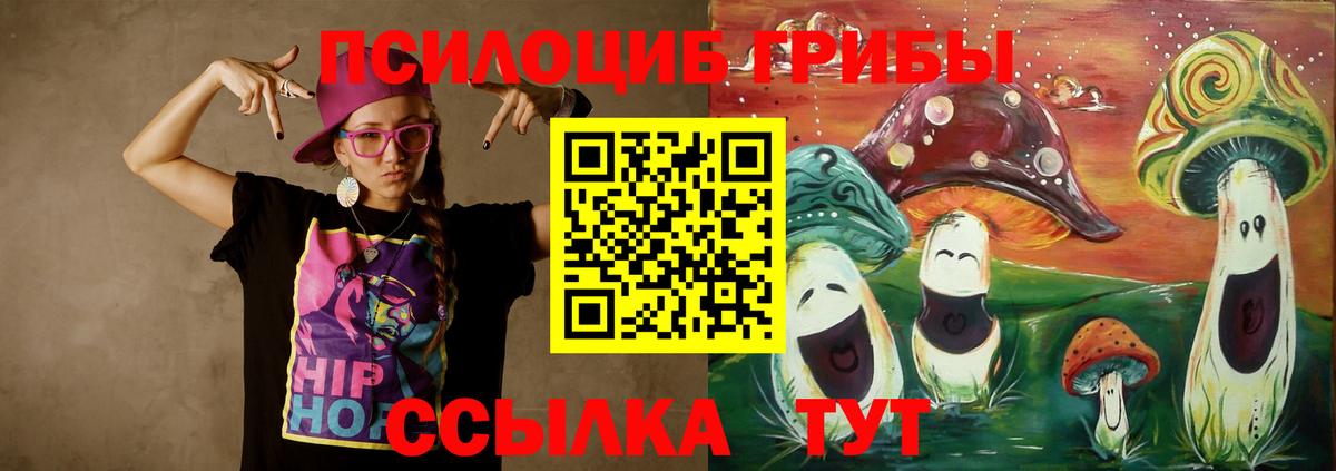 Галлюциногенные грибы Cubensis Буйнакск